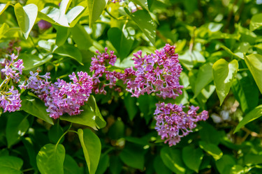 Similar image 22013626