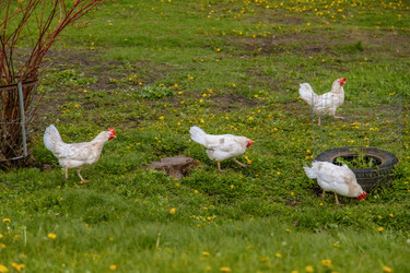 Similar image 22013627