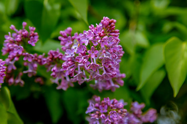 Similar image 22013628