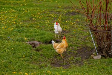 Similar image 22013629