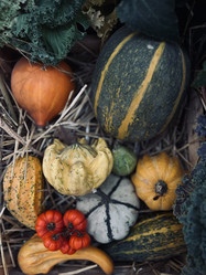 Similar image 22006673