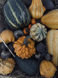 Similar image 22006674