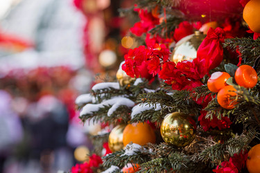 Similar image 22007292