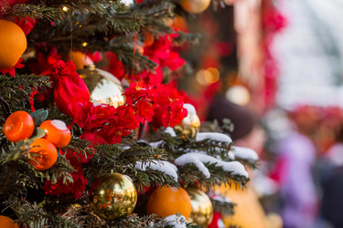 Similar image 22007294