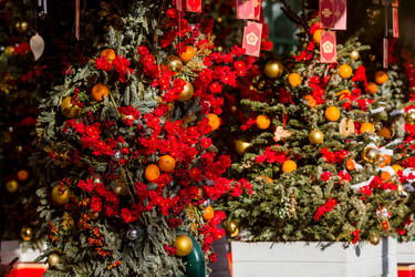 Similar image 22007299