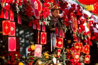 Similar image 22007302