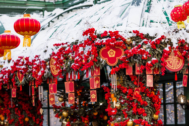 Similar image 22007310