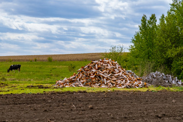 Similar image 22013630