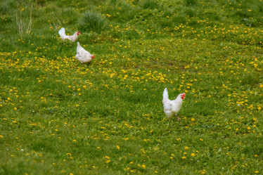 Similar image 22013633