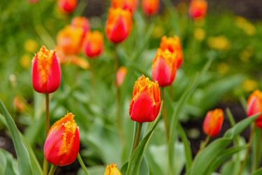 Similar image 22013636