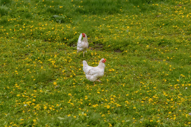 Similar image 22013639