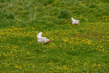 Similar image 22013641