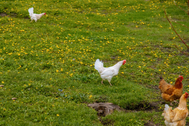 Similar image 22013643