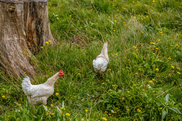 Similar image 22013644