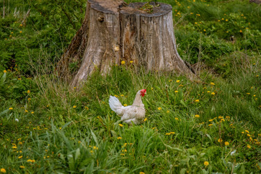 Similar image 22013645