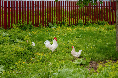 Similar image 22013647