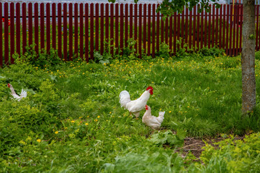 Similar image 22013649