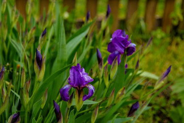 Similar image 22013669