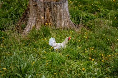 Similar image 22013670