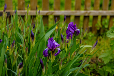 Similar image 22013671