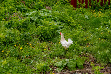 Similar image 22013672