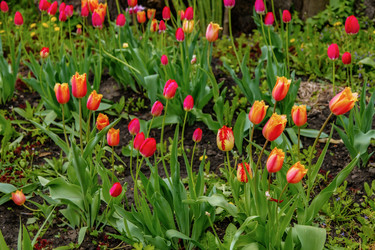 Similar image 22013673