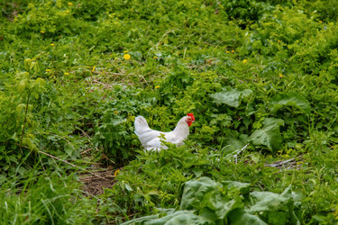 Similar image 22013674