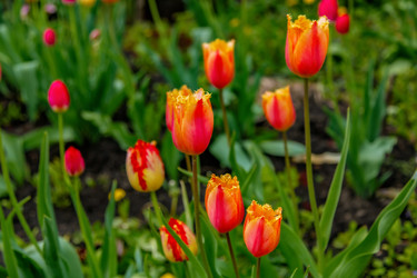 Similar image 22013675