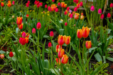 Similar image 22013679