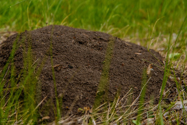 Similar image 22013691