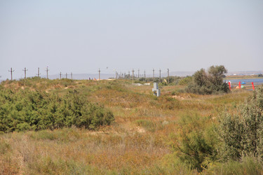 Similar image 22006972