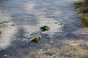 Similar image 22006974