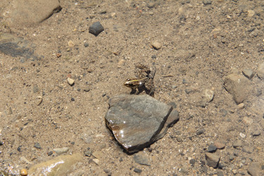 Similar image 22006975