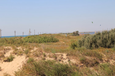 Similar image 22006976