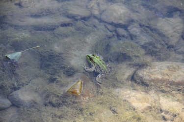 Similar image 22006977