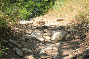 Similar image 22006983