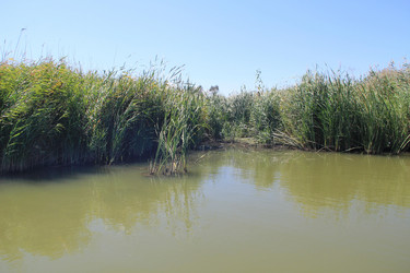 Similar image 22006989