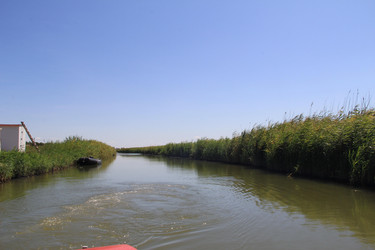 Similar image 22006990