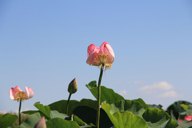 Similar image 22006994