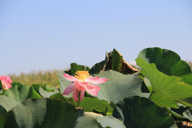 Similar image 22006995