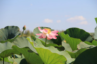 Similar image 22006996