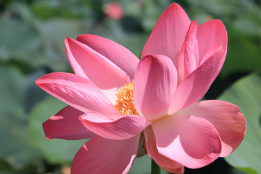 Similar image 22006999