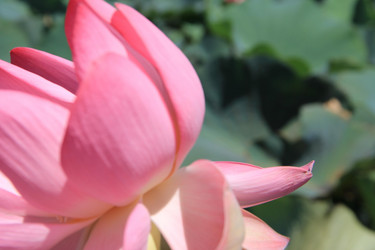 Similar image 22007000