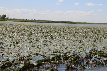 Similar image 22007007