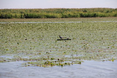 Similar image 22007009