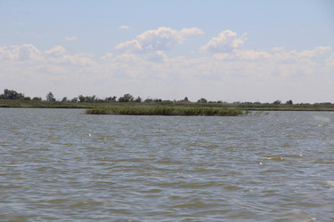 Similar image 22007010