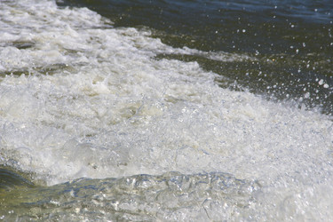 Similar image 22007013