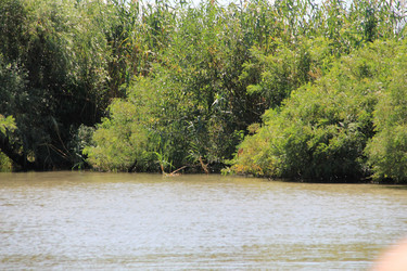 Similar image 22007014