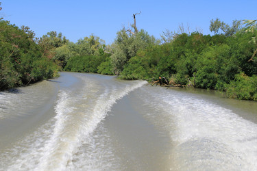 Similar image 22007015