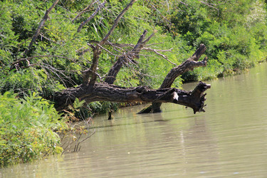 Similar image 22007017